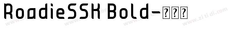 RoadieSSK Bold字体转换